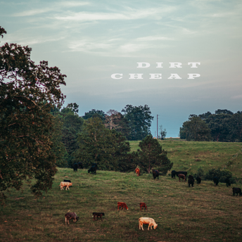 Brian Kelley - Dirt Cheap Digital Multi-Single