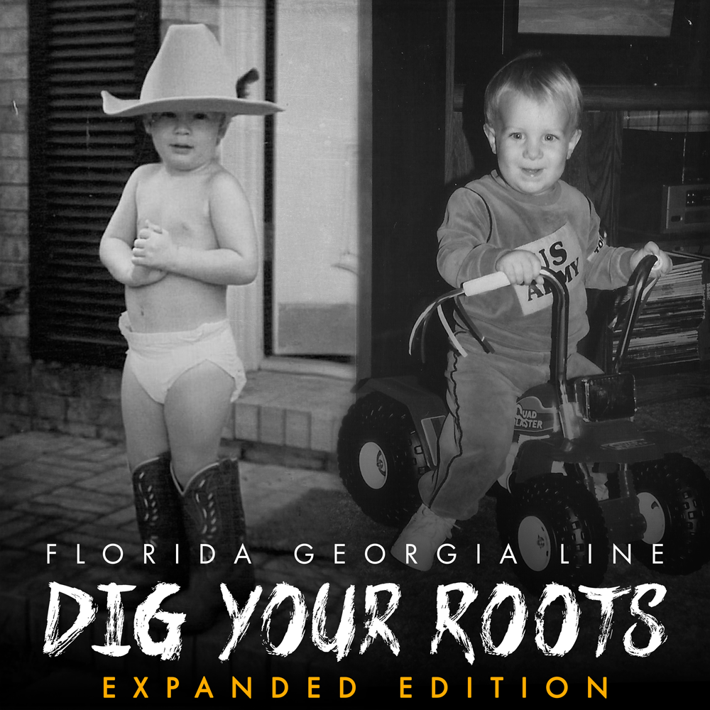 Florida Georgia Line - Dig Your Roots (Expanded Edition) Album