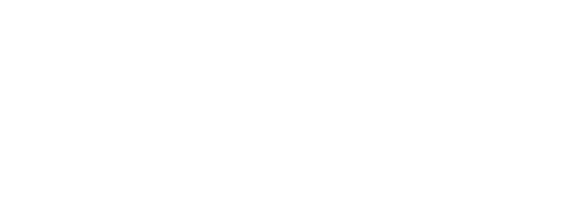 Aaron Lewis logo