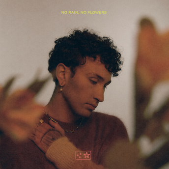 Dylan Matthew - no rain, no flowers Digital Album
